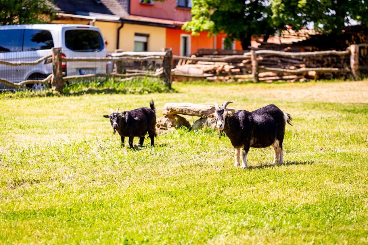 Ferienhof Domaene Groschwitz Rudolstadt Zewnętrze zdjęcie